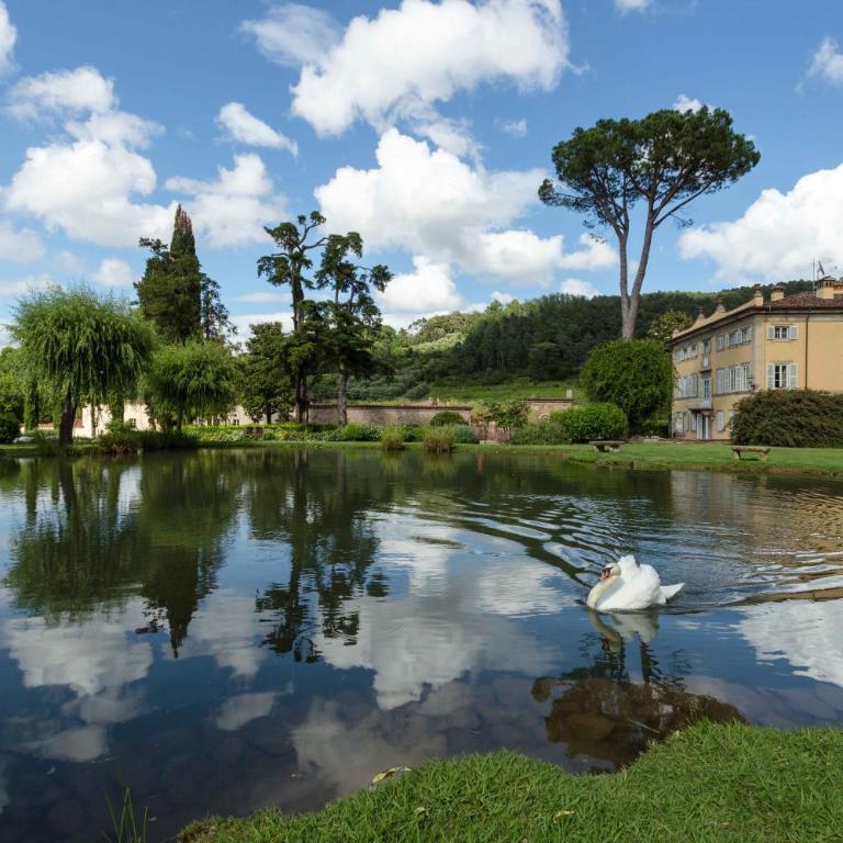 Coselli 's Collection. Luxury Villas Rental - Villa Deluxe - 8