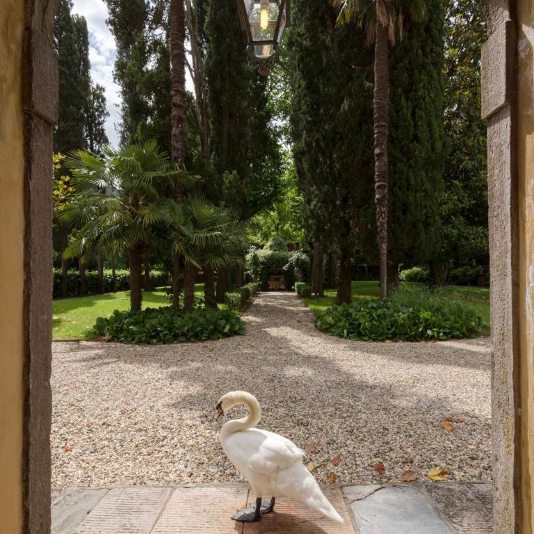 Coselli 's Collection. Luxury Villas Rental - Villa Deluxe - 10