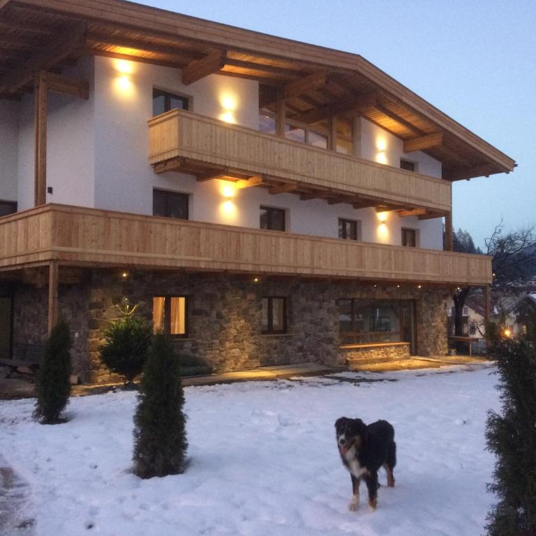 Berghof Zillertal - Appartamento con Vista Montagna - 1