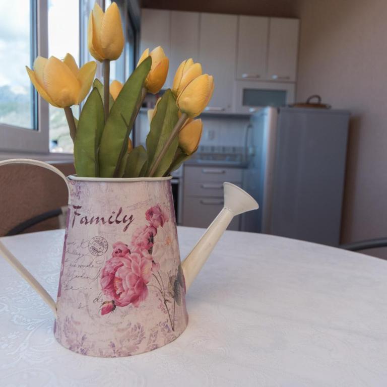 Apartmani Jazz Aleksandra - Apartman sa Jednom Spavaćom Sobom i Balkonom (4 Odrasle Osobe) - 20