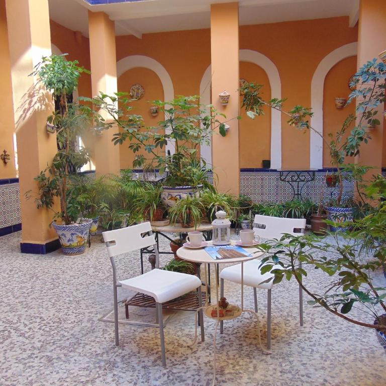 Apartamento Fernando - Apartment - Ground Floor - 11