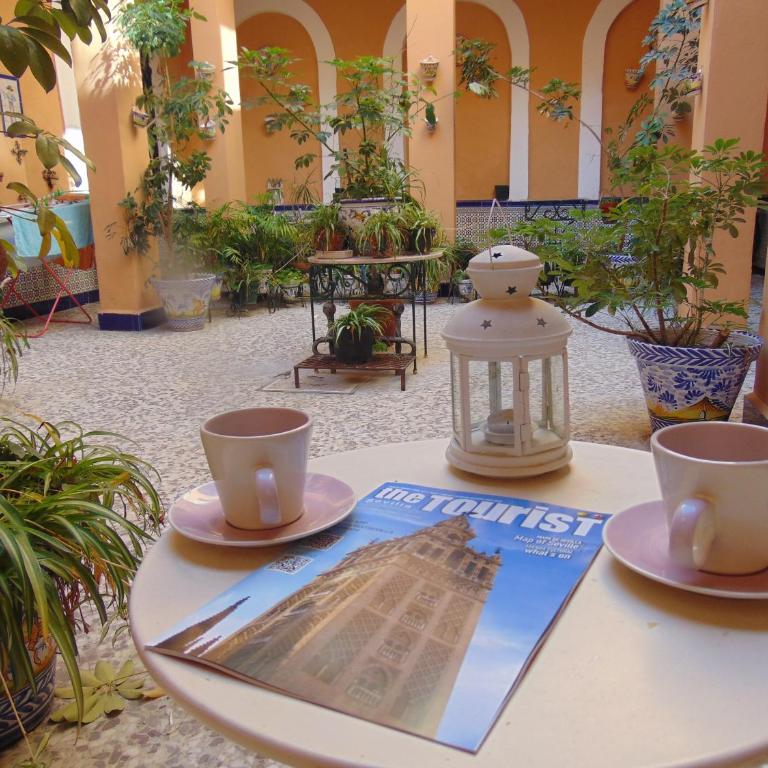 Apartamento Fernando - Apartment - Ground Floor - 10