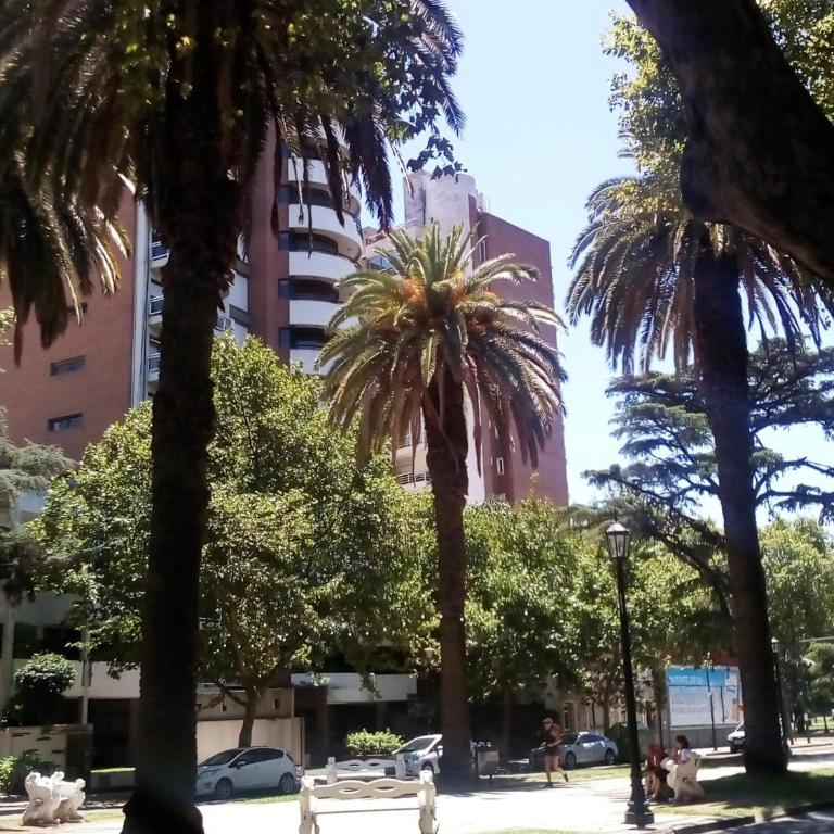 Oroño 1 - Estudio - 13