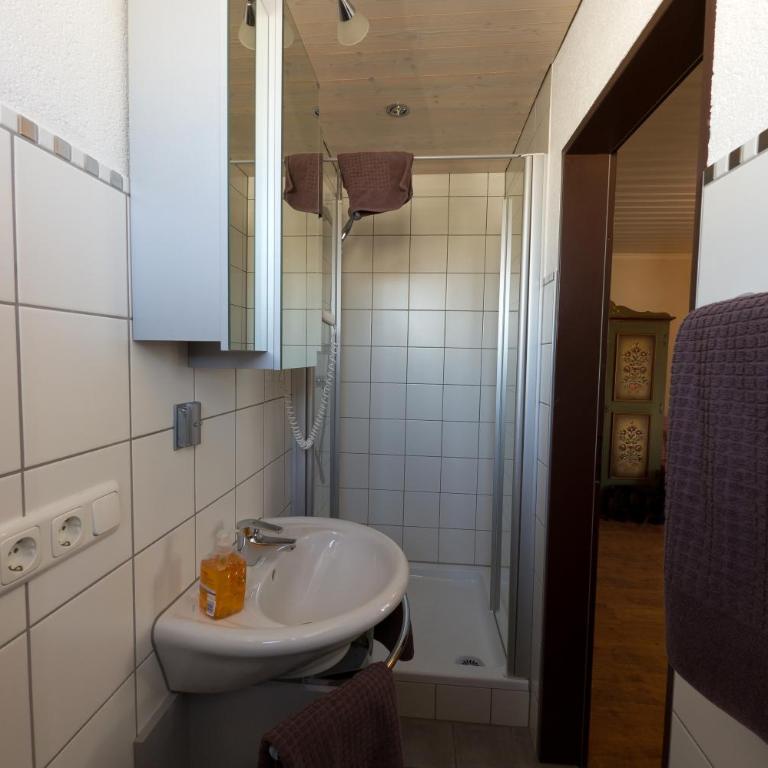 Dreimäderlhaus - Das vegetarische Boutique Hotel - Standard Doppelzimmer mit Balkon und Straßenblick - 7