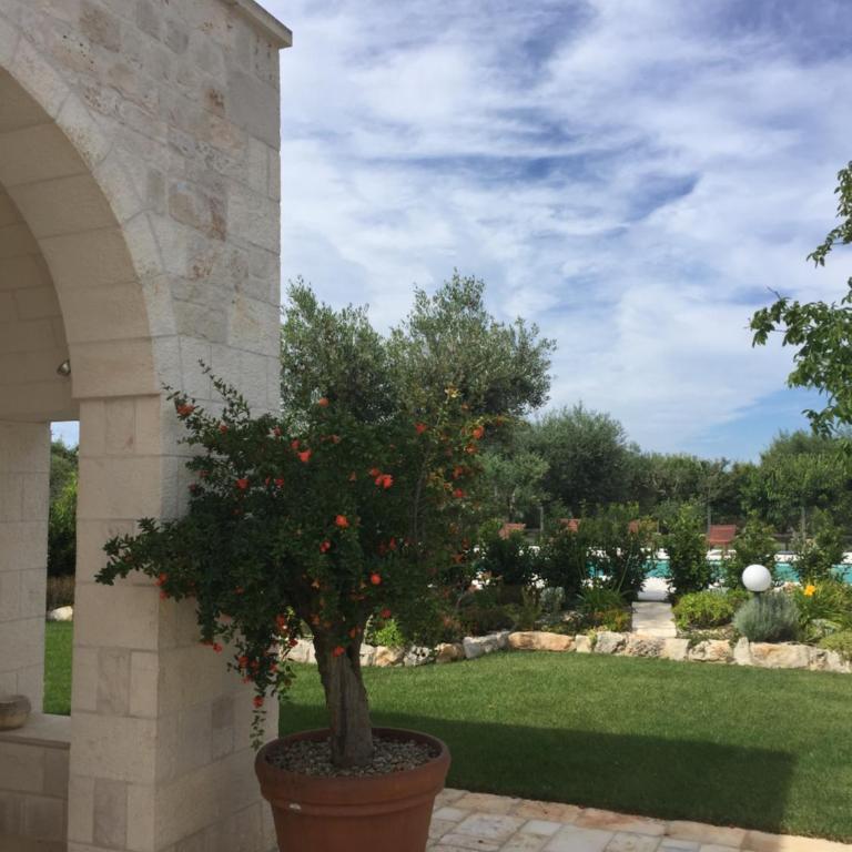 Casolare di Pozzomasiello - One-Bedroom House - 15