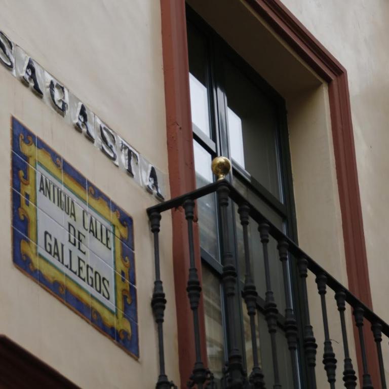 DUPLEX SAGASTA Apartamentos-Sagasta - Duplex Apartment - 37