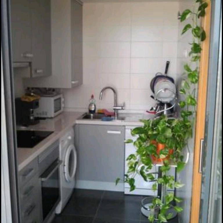 Relax, sol y playa - Apartamento - 18