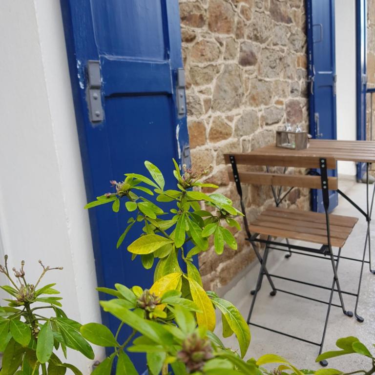 T2 terrasse de charme à Rochebonne 400 m plage - Apartamento con vistas al jardín - 26