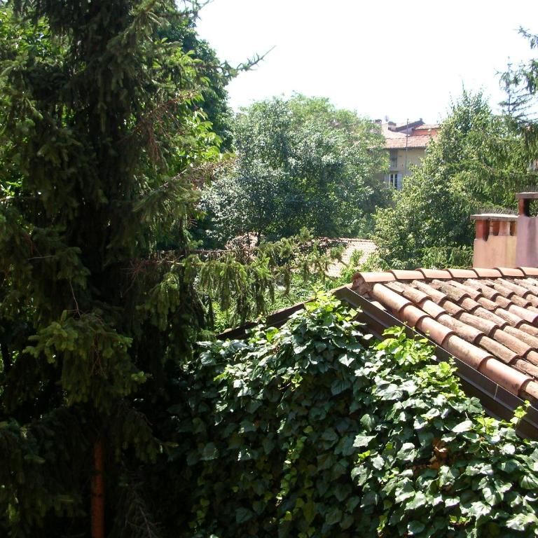 Nice Apartments in Downtown - Appartamento con Vista Giardino - 4