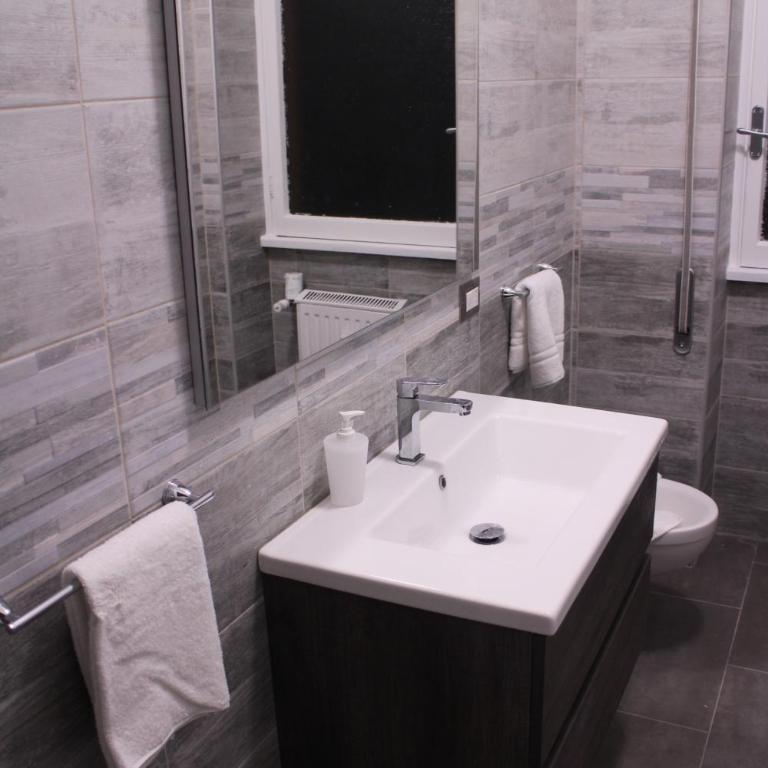 Green view apartment - Appartamento - 21