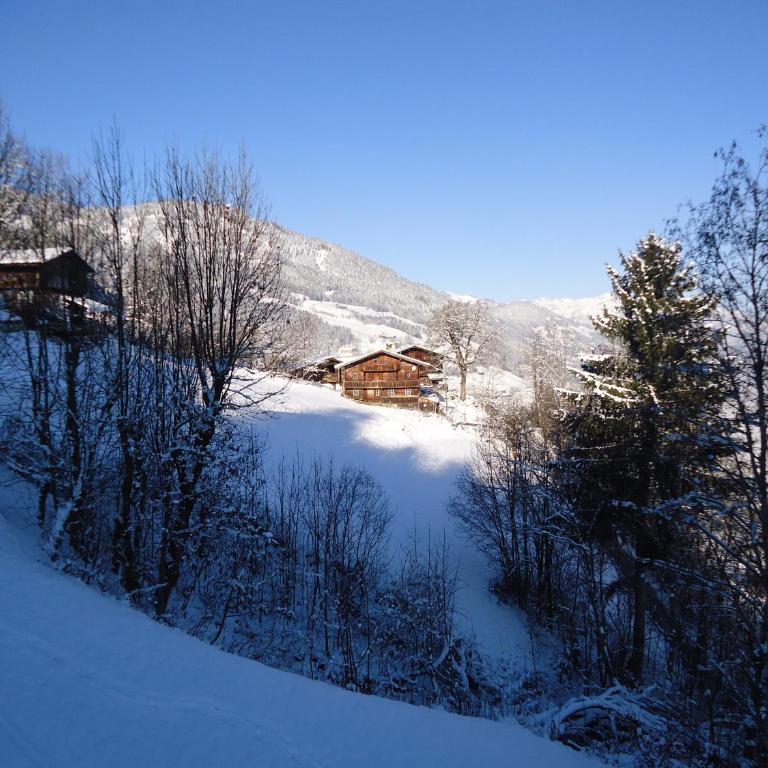 Apart bianca Zillertal - Apartamento de 2 dormitorios - 34