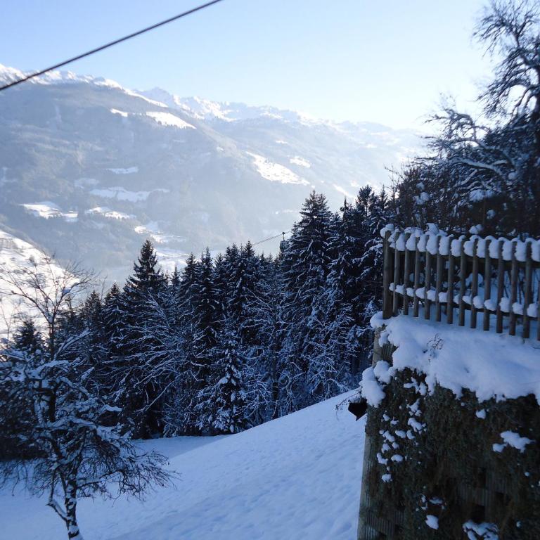 Apart bianca Zillertal - Apartamento de 2 dormitorios - 37