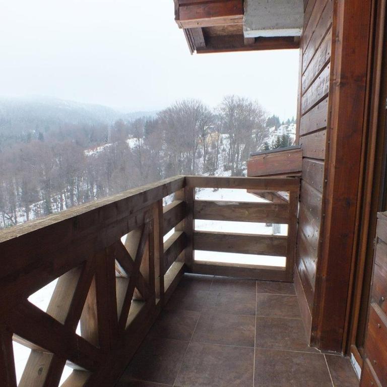 Vila Nina Kopaonik - Apartment with Balcony - 11