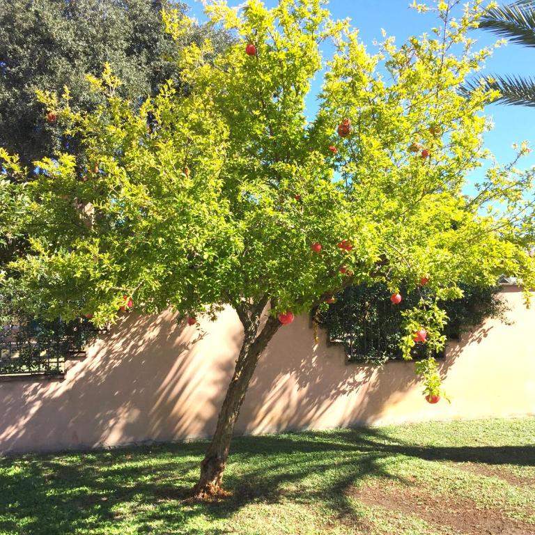 Domus Leonardo-Private Free Parking - Appartamento con Vista Giardino - 46