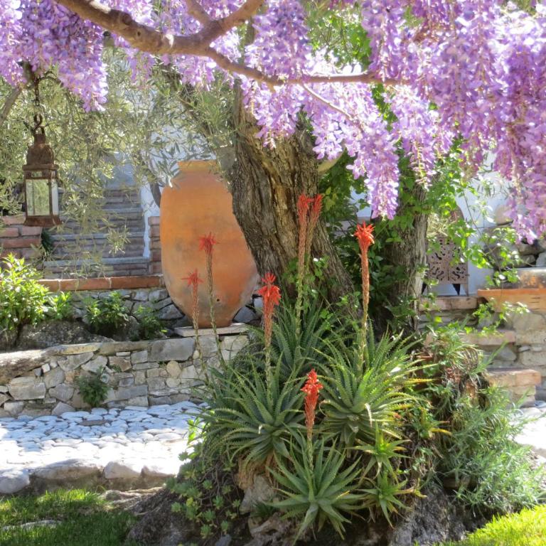 Colores en el Viento - Villa - 1
