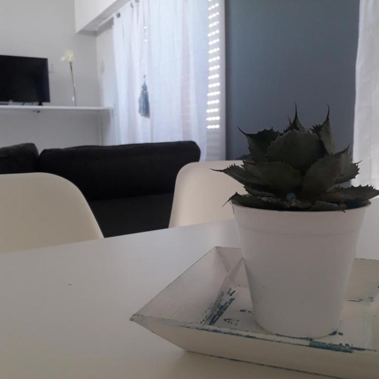 Complejo Pirovano - Apartamento - Planta baja - 8