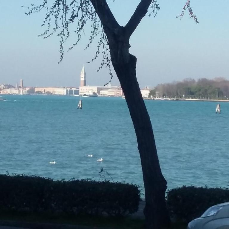 Bellavista SanMarco Venice and lagoon view - Apartamento - 46