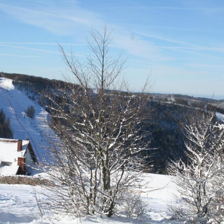 Résidence du Château Lublin - Apartment mit 2 Schlafzimmern (4 Erwachsene) - 23