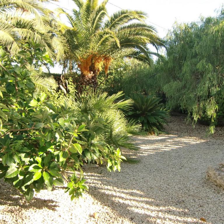 Villa Leones - privacy - by Holiday Rentals Villamar - Villa - 26