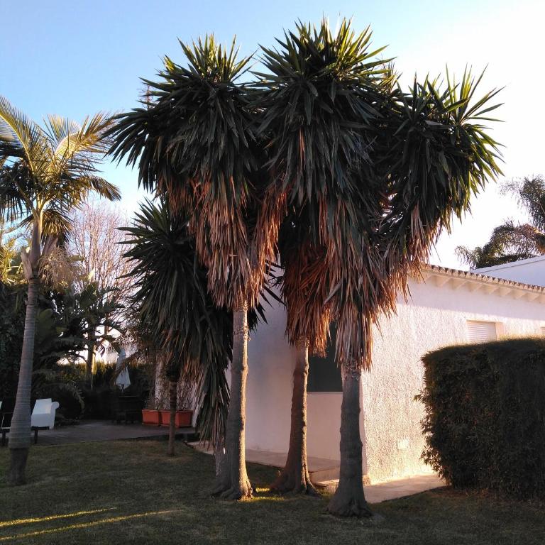 Casa Azahar y Casa Buganvilla - Casa de 3 dormitorios - 44