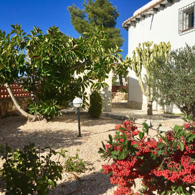 Apartamento Villa Joya - Apartamento - 32