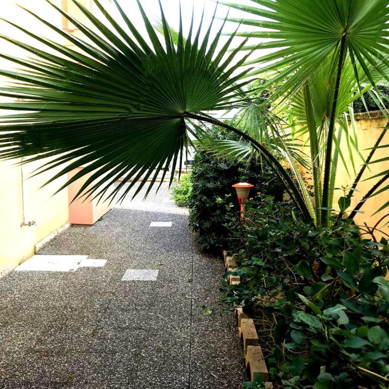 Appartamento con giardino sul mare - Appartamento - 20