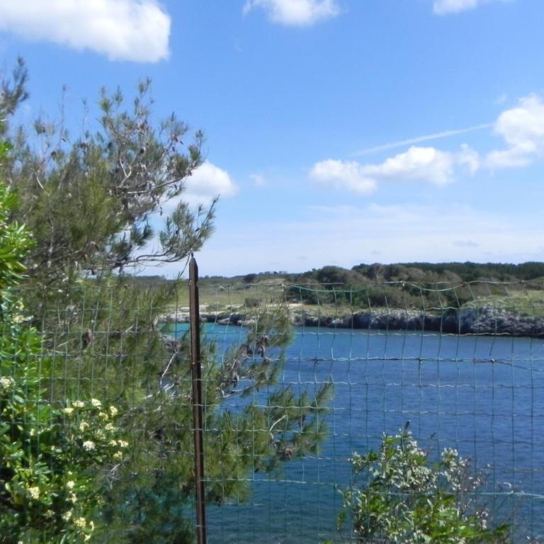 la casa nell'acqua - Appartamento con Vista Mare - 7