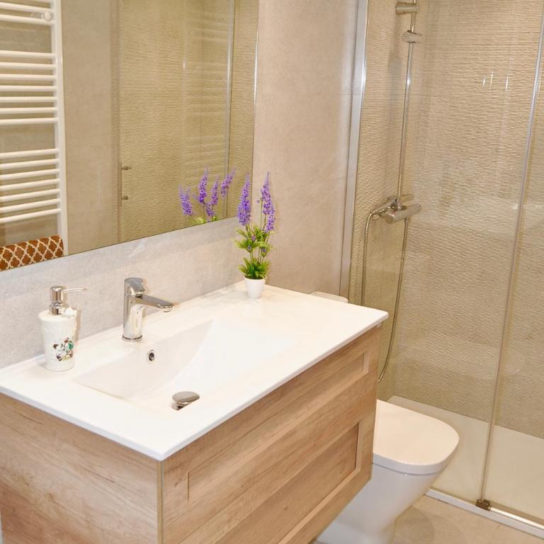 Mirador Catedral de Santiago - Suite Deluxe con cama extragrande - 18