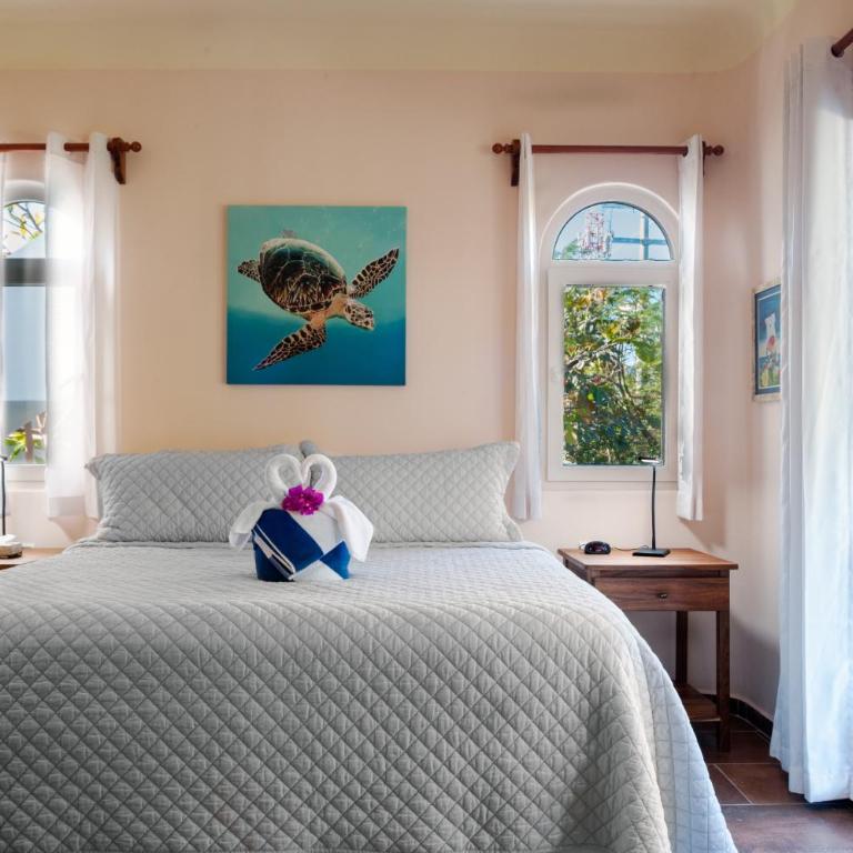 Casa Sonoma - Charming Condos Minutes from Beach & Reef - Superior Apartment - 26