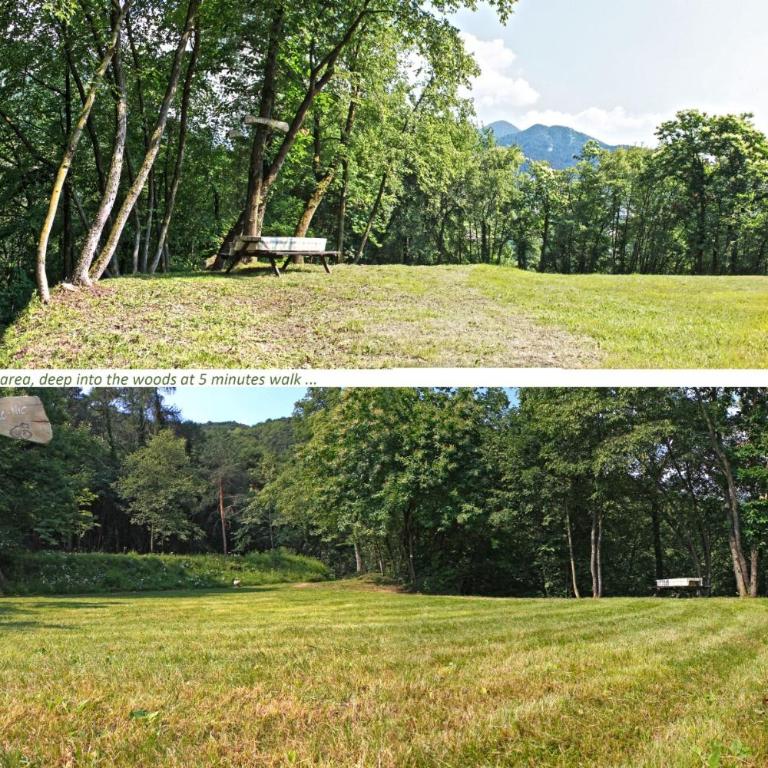Appartamenti La Tartufaia Country house pool and relax By Gardadomusmea - Appartamento con Vista Giardino - 12