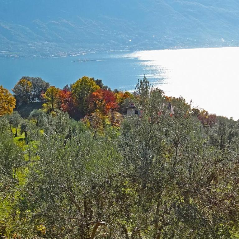 Appartamenti Villa Vagne by Gardadomusmea - Appartamento con Vista Lago - 37