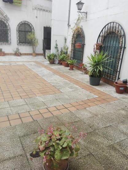 PUSHE Granada Catedral Art & Tradition - Apartment - 12