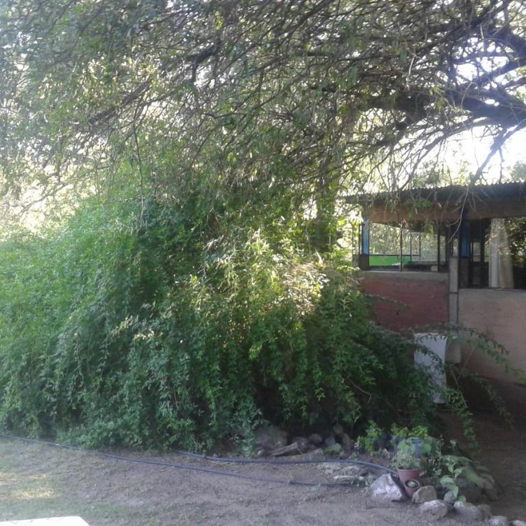 Las Rukas - Bungalow - 7