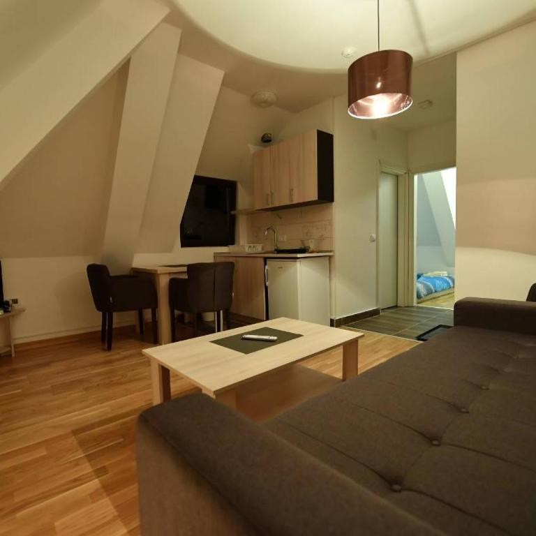 Dvori Apartments - One-Bedroom Apartment - 1