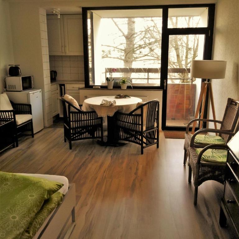 Ruhiges Apt. direkt am Naherholungsgebiet mit Seeblick, Zentrum 5min, Messe 18min - Appartamento - 1