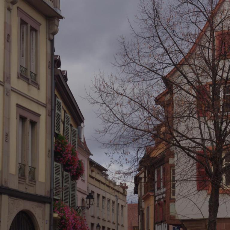 Margot - hyper centre Colmar - Apartment - 37