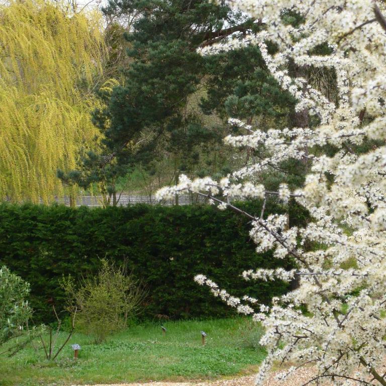 Gîte Les Jardins de Terrefort - Maison 2 Chambres - 34