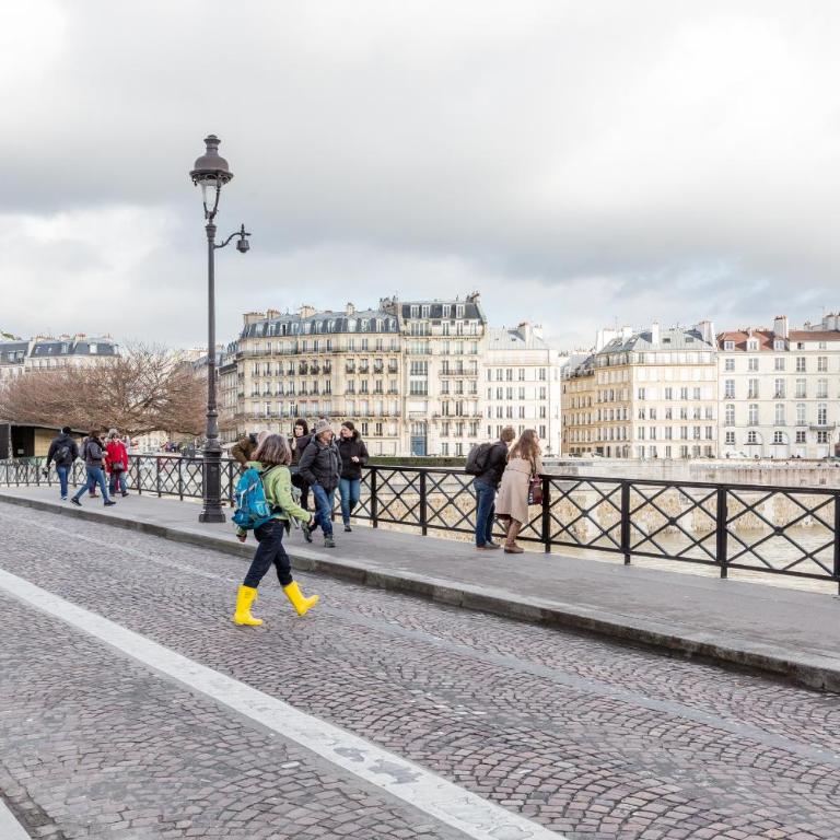 Veeve - Overlooking the Seine on Ile de la Cité - Appartement - 13