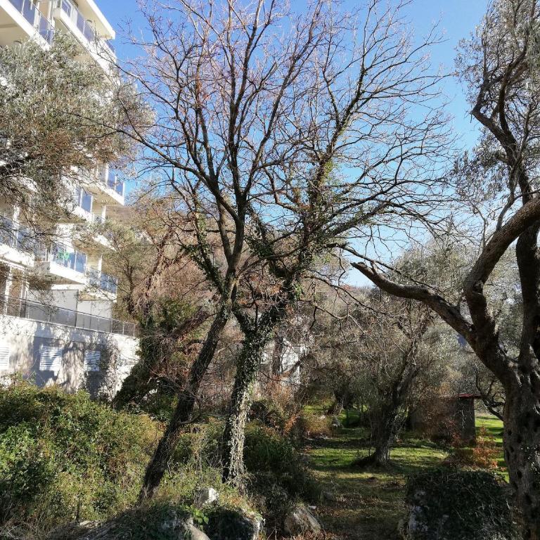 Apartment Olive Montenegro KO Becici - Studio Apartman sa Pogledom na More - 3