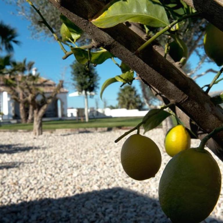 Villa Orlando by Aguilarent - Villa - 10