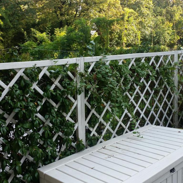 IL GIARDINETTO - Smart working - Airport - Private Parking - Private garden - Ducati - Philip Morris - Appartamento con Vista Giardino - 34