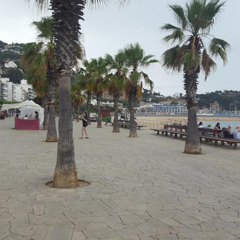 Apartamento Blanes - Apartamento - 27