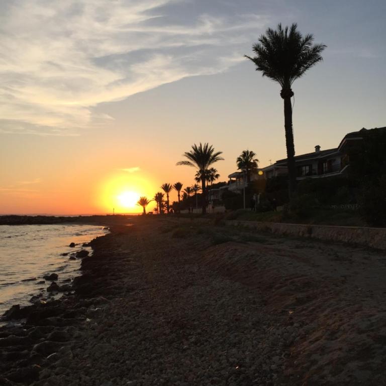 SPLENDIDE F4 ALICANTE Santa Pola - Apartamento - 37