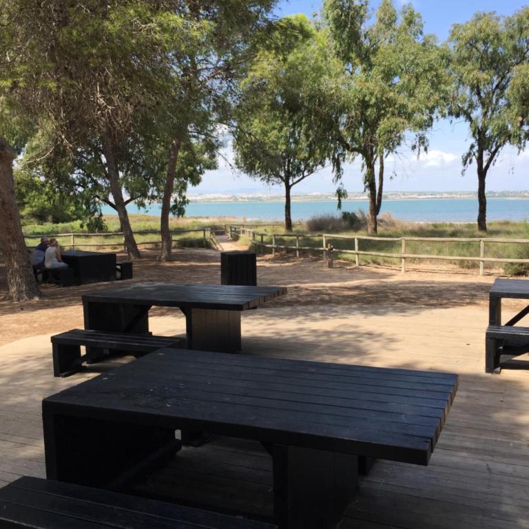 SPLENDIDE F4 ALICANTE Santa Pola - Apartamento - 40