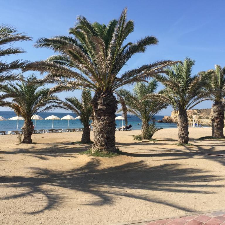 SPLENDIDE F4 ALICANTE Santa Pola - Apartamento - 41