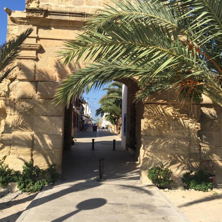 SPLENDIDE F4 ALICANTE Santa Pola - Apartamento - 35