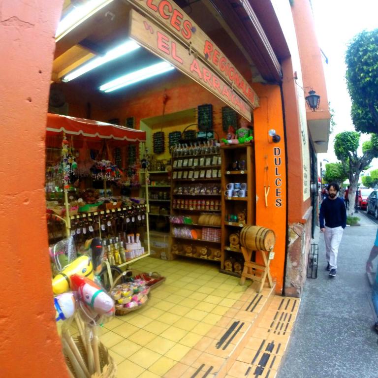 Hospedaje Tlaquepaque - Apartamento - 41
