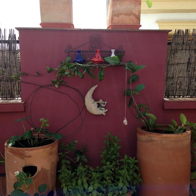 Atico Deluxe San Basilio - Apartamento - 25