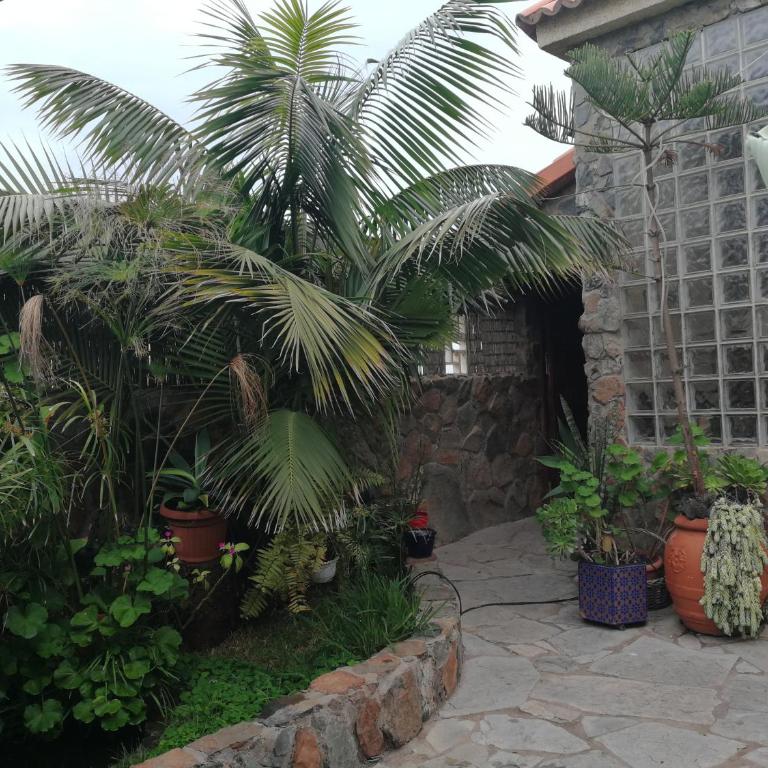Casa El Drago-TAFIRA BAJA - Habitación Doble con vistas al mar - 6