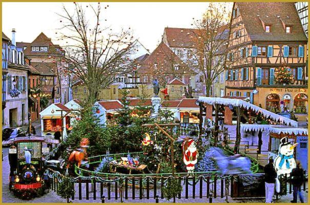 Margot - hyper centre Colmar - Apartment - 43